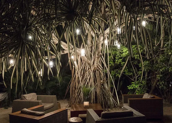Jashita Hotel (Adults Only) Tulum